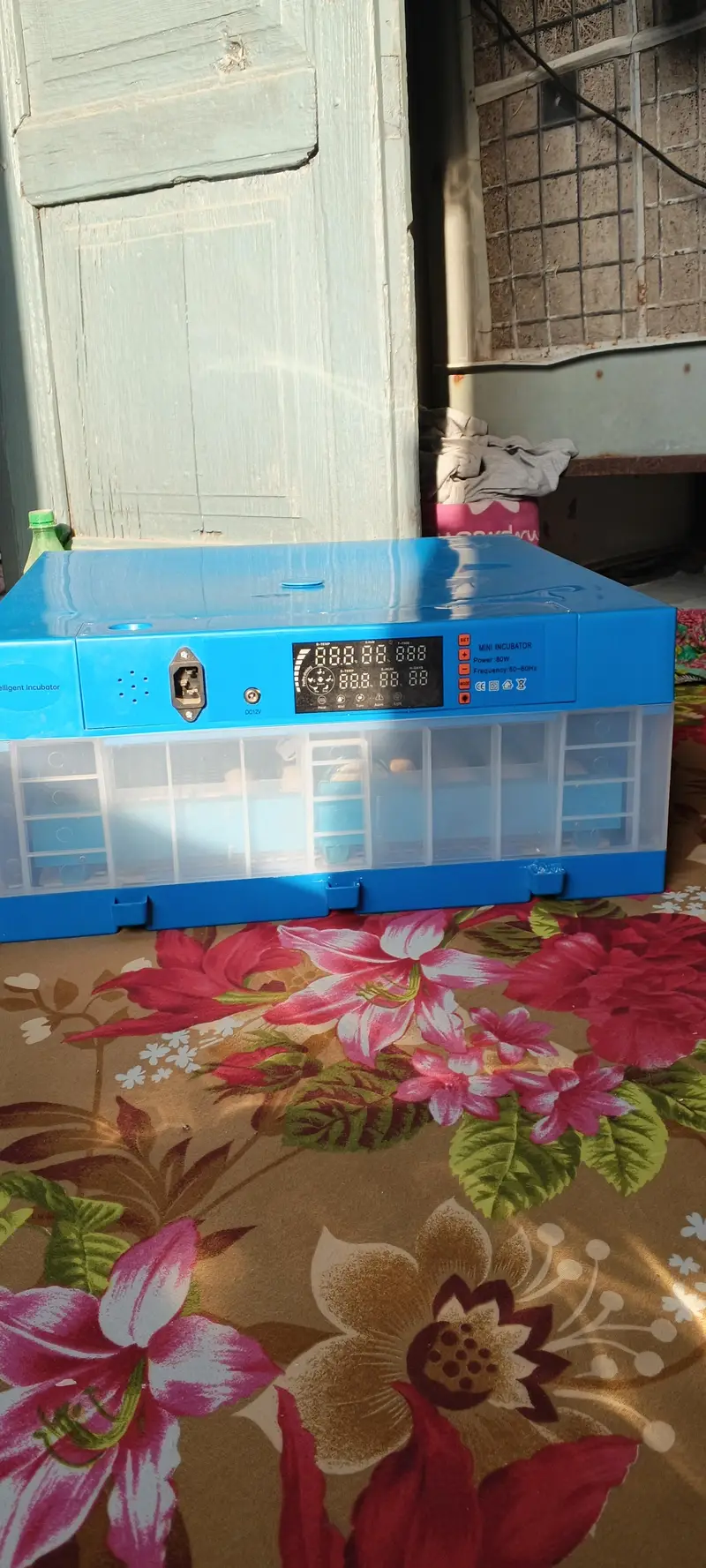 60 Eggs auto incubator available — photo 2