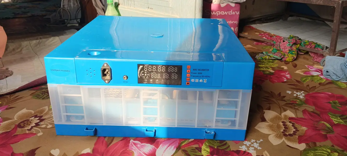 60 Eggs auto incubator available — photo 3