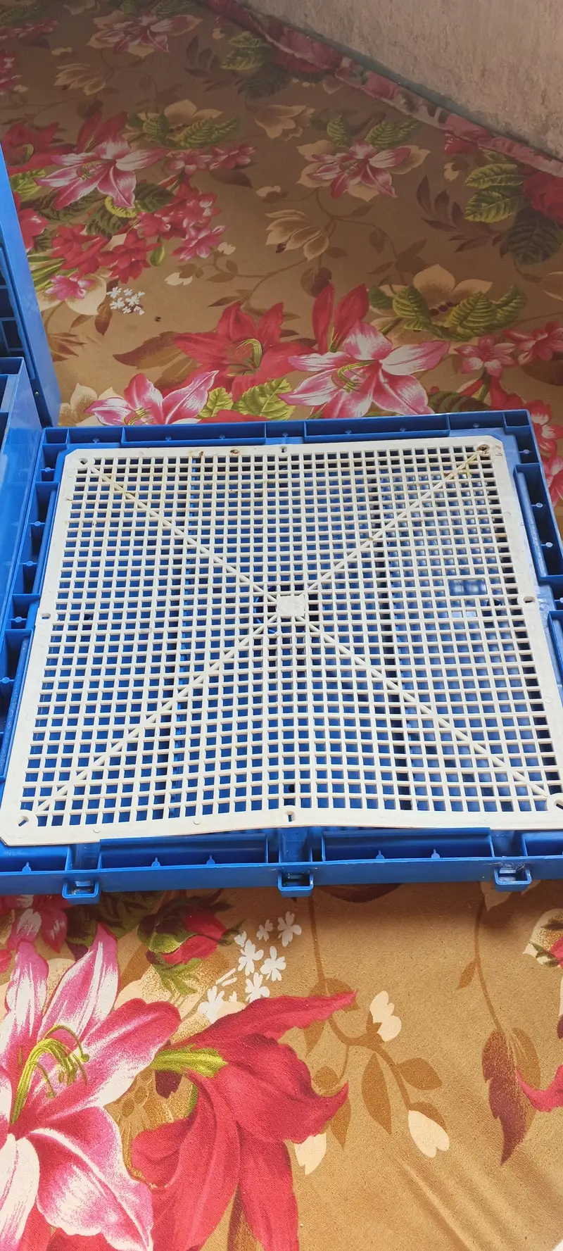 60 Eggs auto incubator available — photo 4