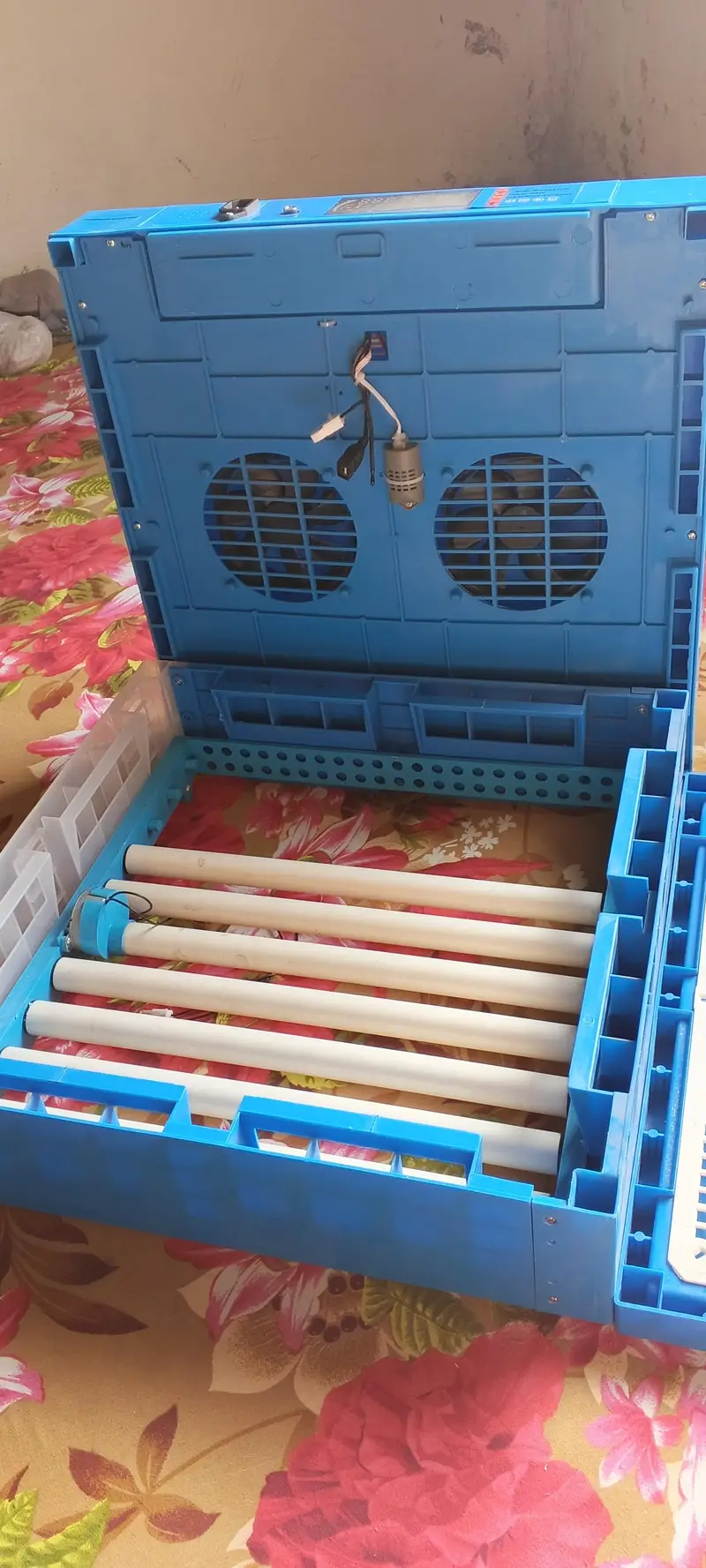 60 Eggs auto incubator available — photo 5