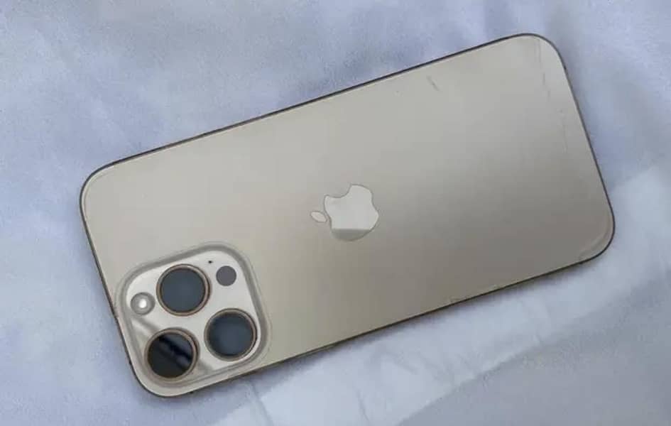 Apple iPhone 16 Pro Max 1