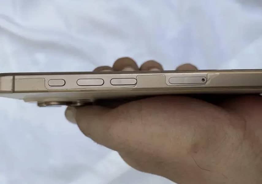 Apple iPhone 16 Pro Max 2
