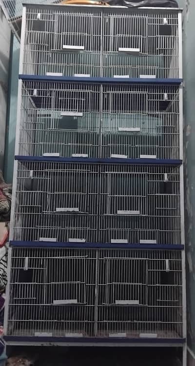 cage birds