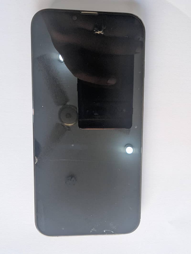 Apple iPhone 13 Pro Max 1