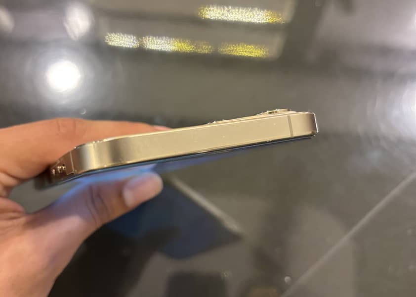 Apple iPhone 12 Pro Max 5