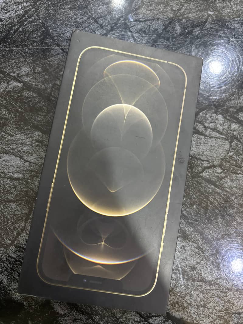 Apple iPhone 12 Pro Max 6