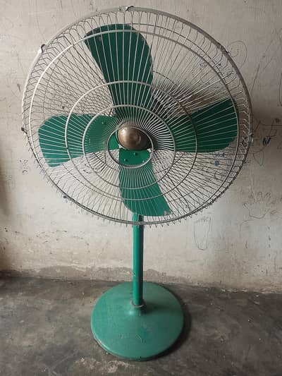 fans f