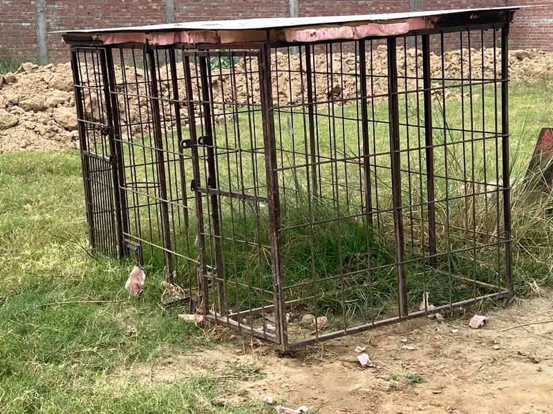 Heavy Iron Pinjra for Sale | Animal Cage with Fibre Roof — photo 2