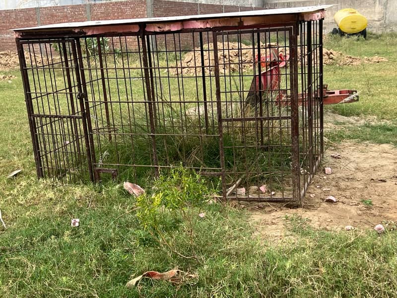Heavy Iron Pinjra for Sale | Animal Cage with Fibre Roof - Cages ...