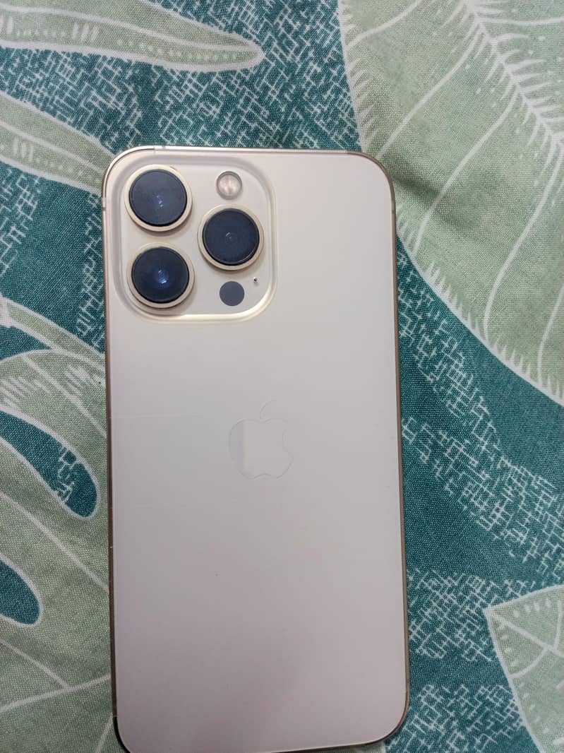 Apple iPhone 13 Pro 1