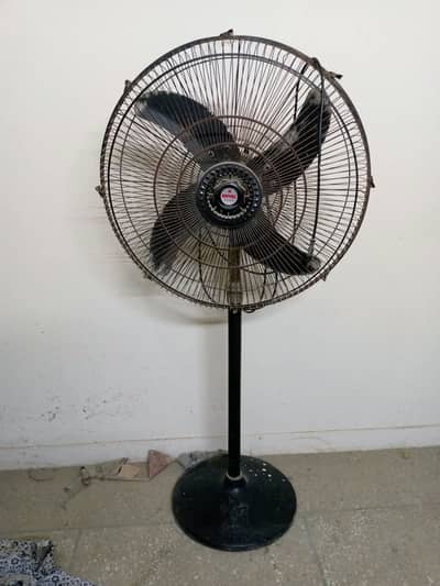Pedestal & Bracket Fan