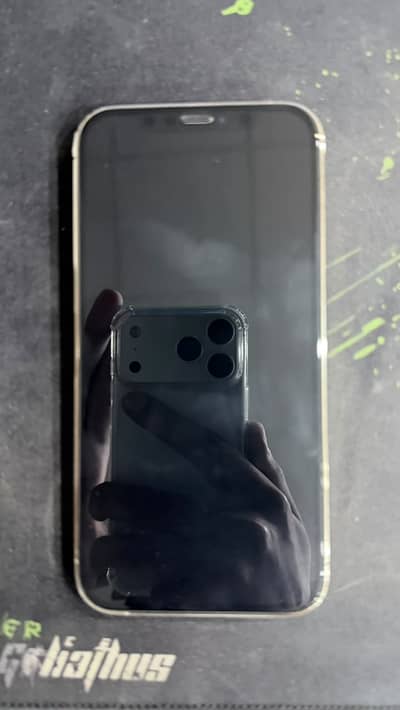 Apple iPhone 12 Pro