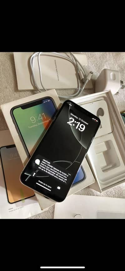Apple iPhone X