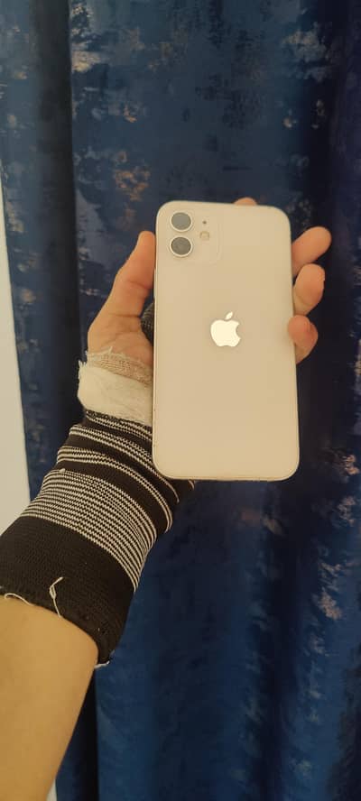 Apple iPhone 12 everything in working 128 gb