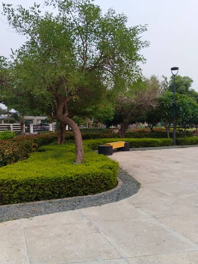 12.75 Marla Residential Plot for Sale in Etihad Town Phase 1, Lahore