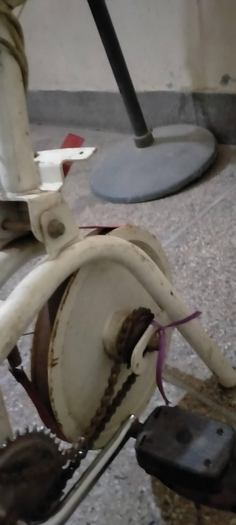 imported weights lossing exercise cycle 0