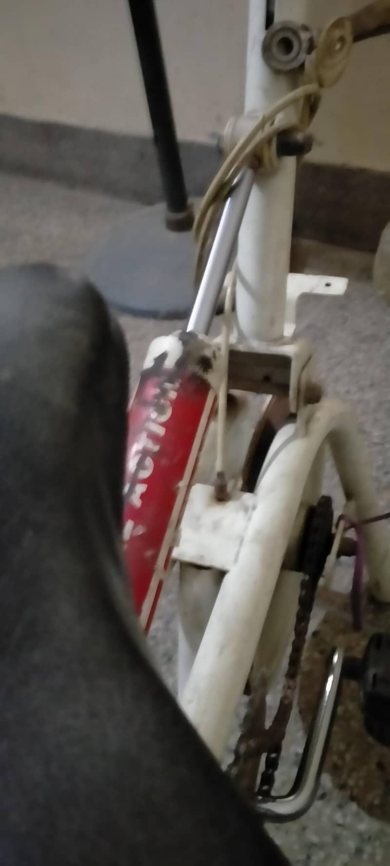 imported weights lossing exercise cycle 1
