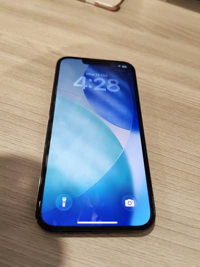Apple iPhone 13 Pro