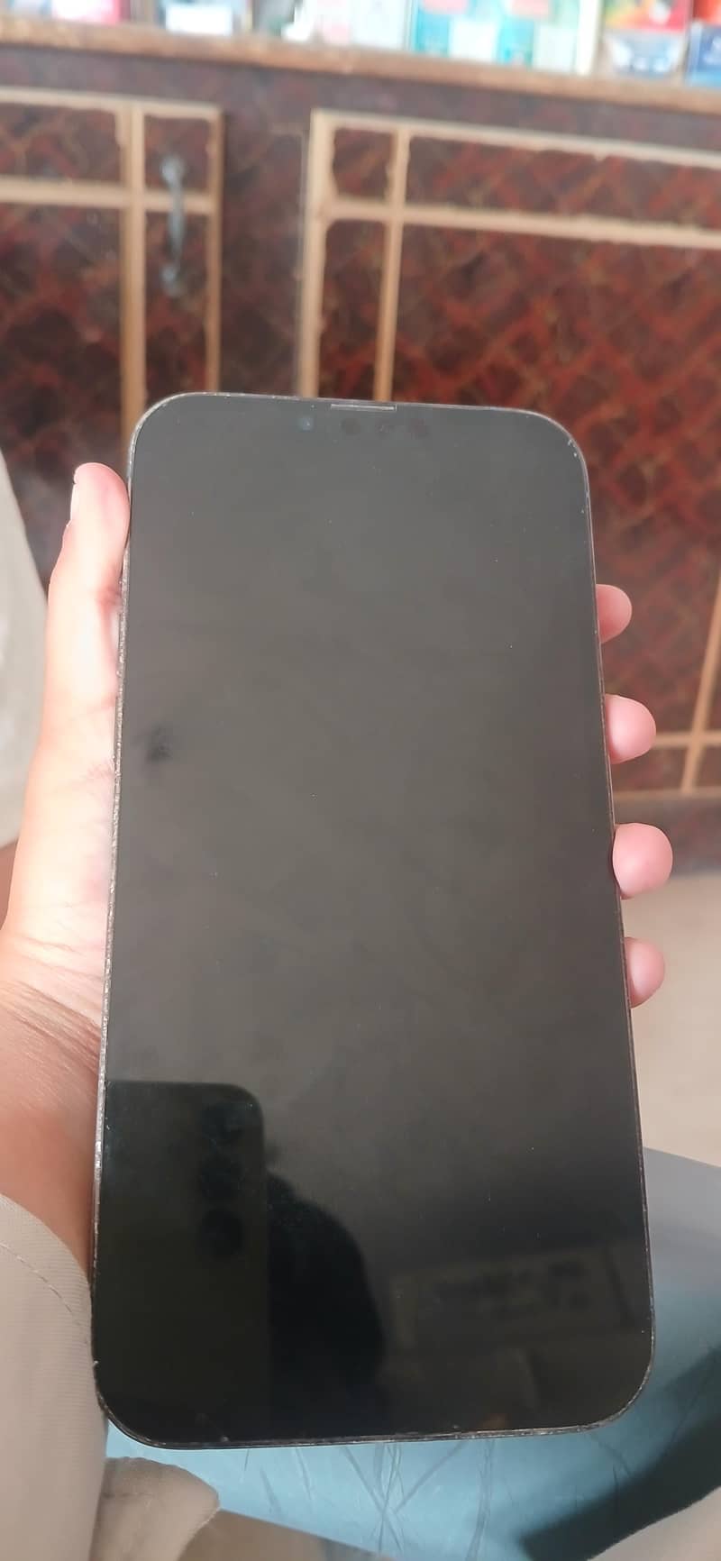 Apple iPhone 13 Pro Max 1