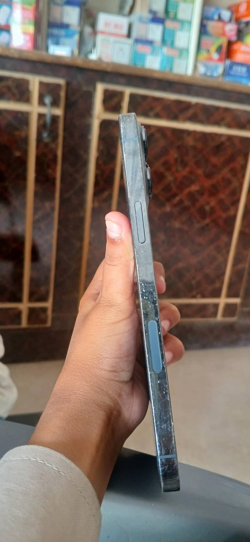 Apple iPhone 13 Pro Max 2