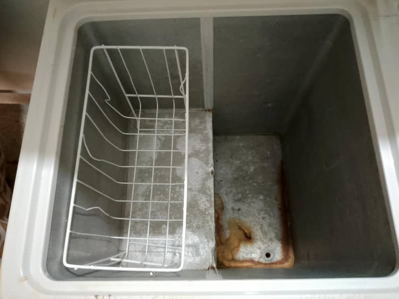 freezer 1