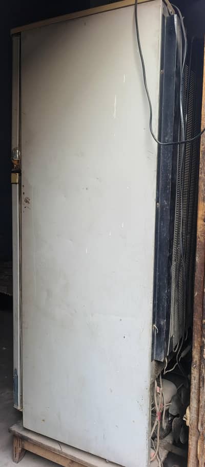Fridge for urgent sale