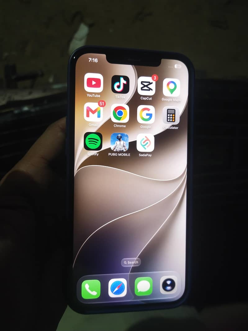 Apple iPhone 12 1