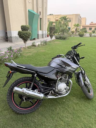 Yamaha YBR 125