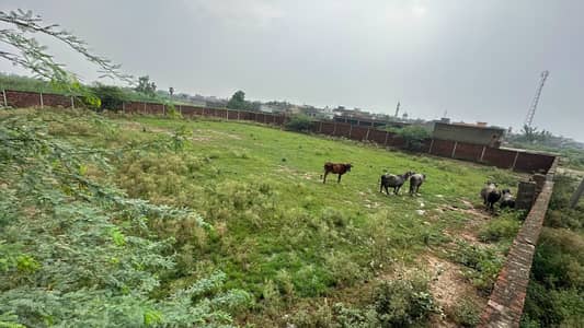 Urgent Sale Prime Agricultural Land Plot In Mauza Jia Bagga - High Capital Growth Potential