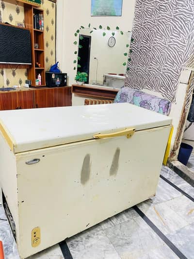 Deep Freezer full size