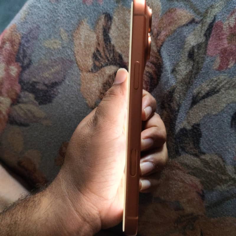 Apple iPhone 17 Pro Max 4
