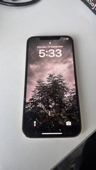 Apple iPhone 12 Pro Max Non PTA