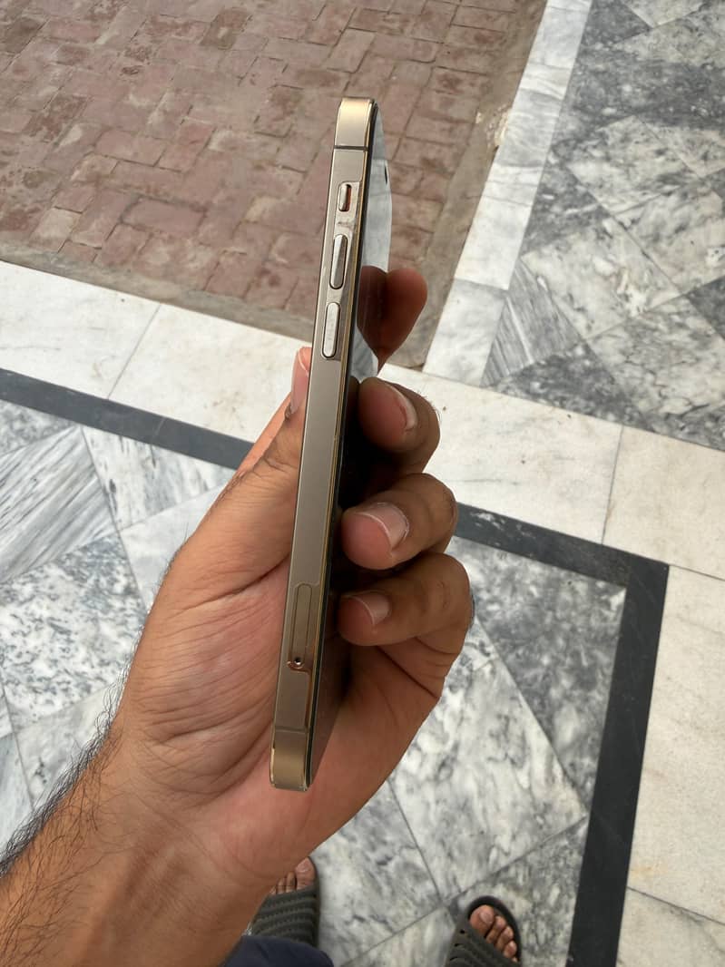 Apple iPhone 12 Pro 8