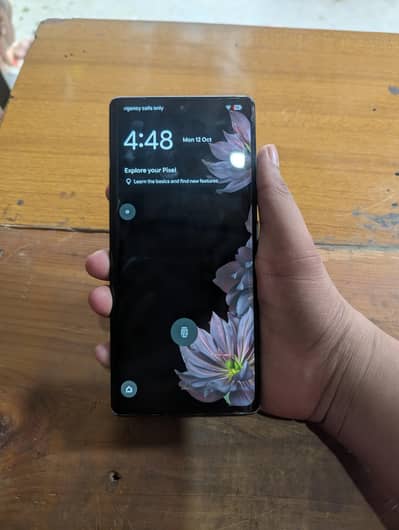 google pixel 6pro