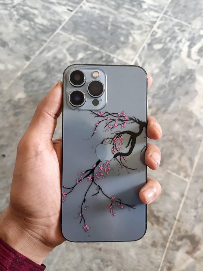 Apple iPhone 13 Pro Max 0