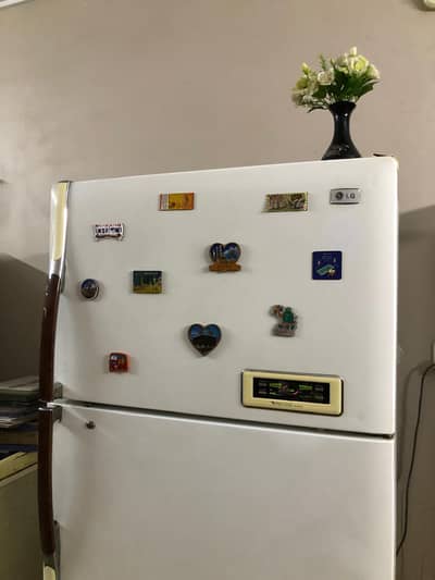 LG king size refrigerator and freezer