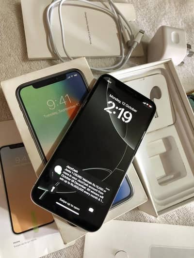 Apple iPhone X