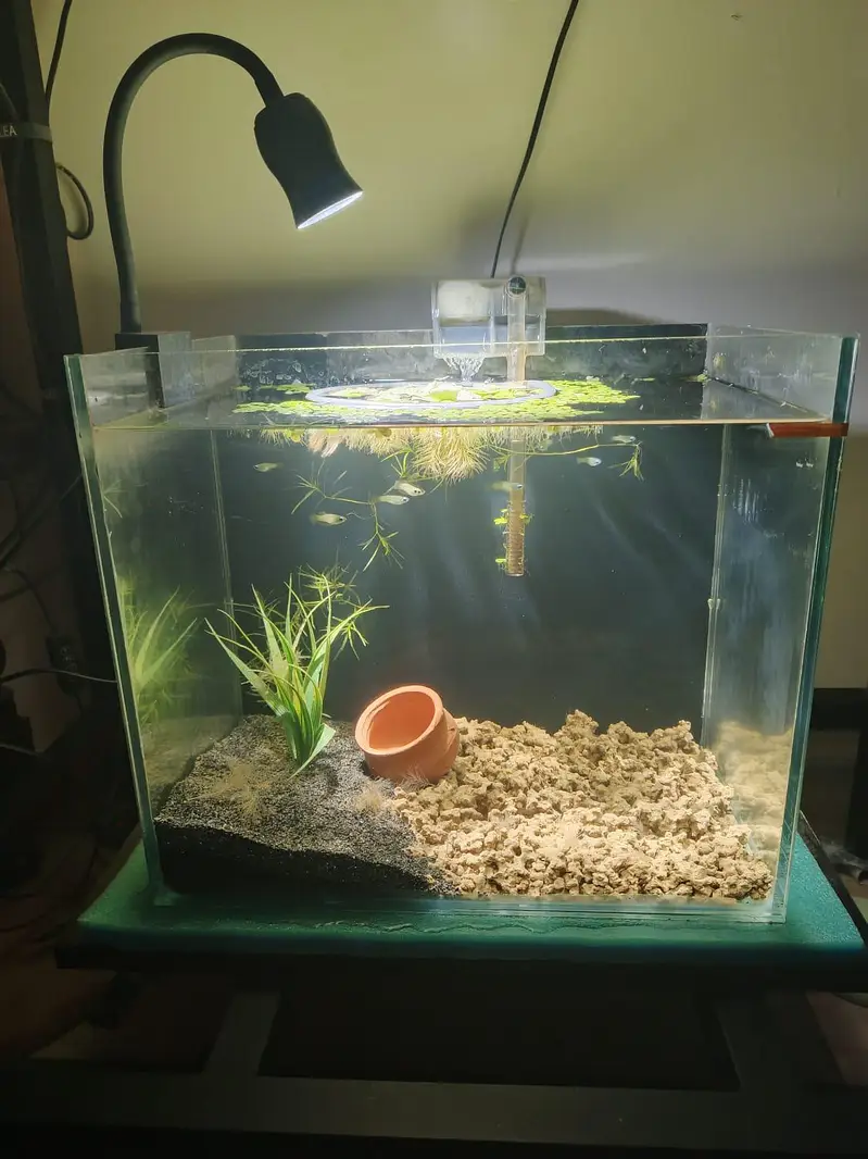 Fish aquarium for sale — photo 2
