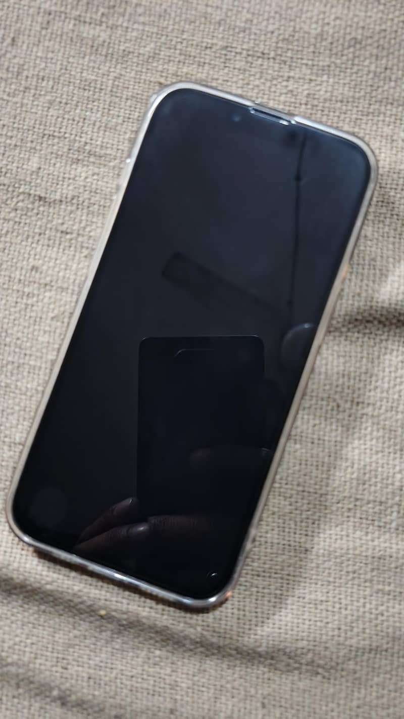 Apple iPhone 13 0
