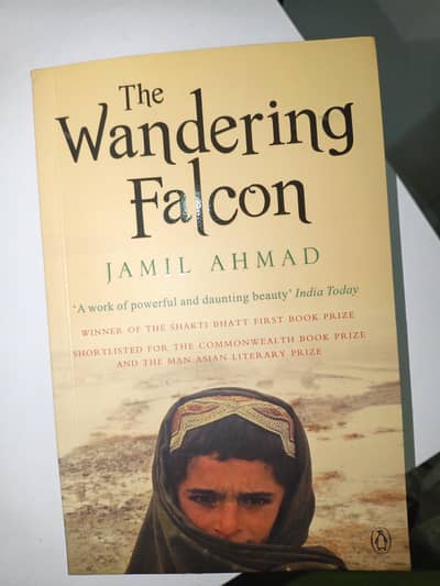 The wandering falcon