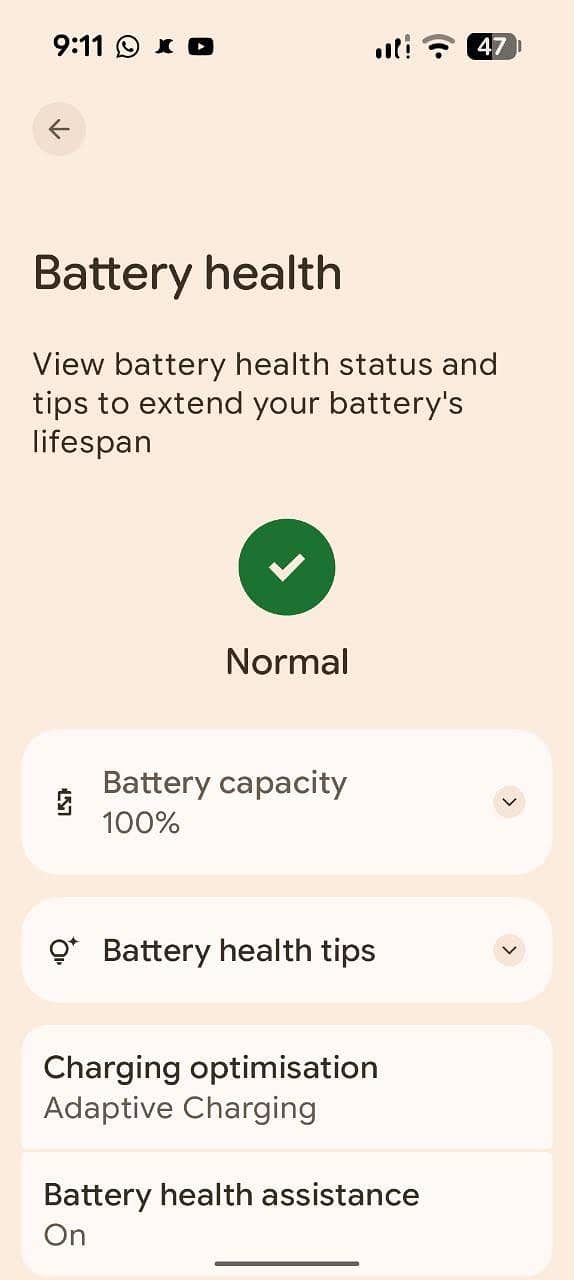 Google Pixel 9 Pro 1