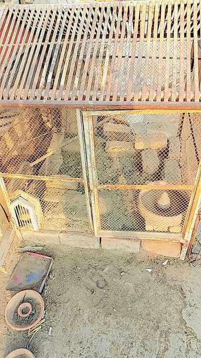 heavy iron cage for all birds