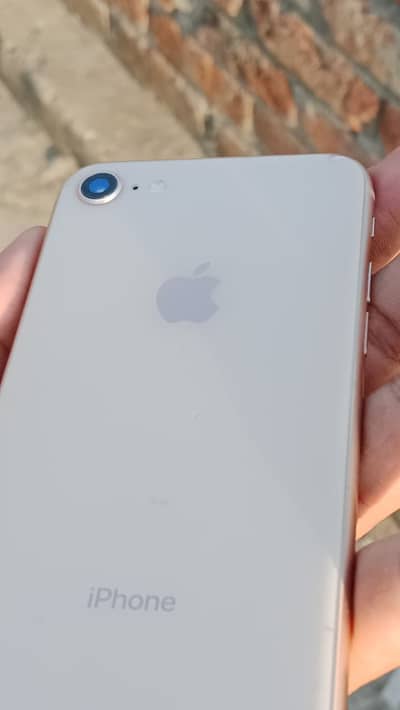 iPhone 8 Lush + Water pack
