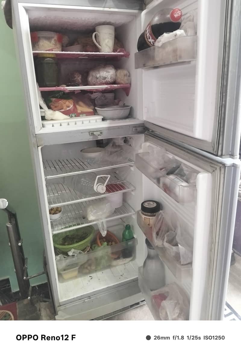 pel fridge 1