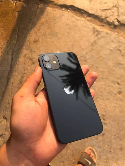 Apple iPhone 12 officially dual pta approved  128 gb