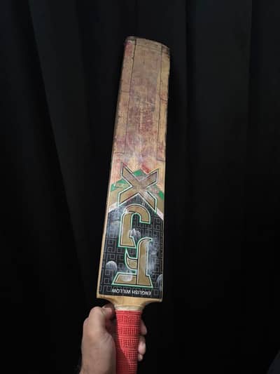 Bat With No Edges Full Ok