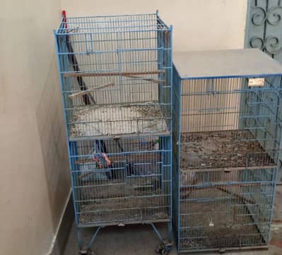Bird cage