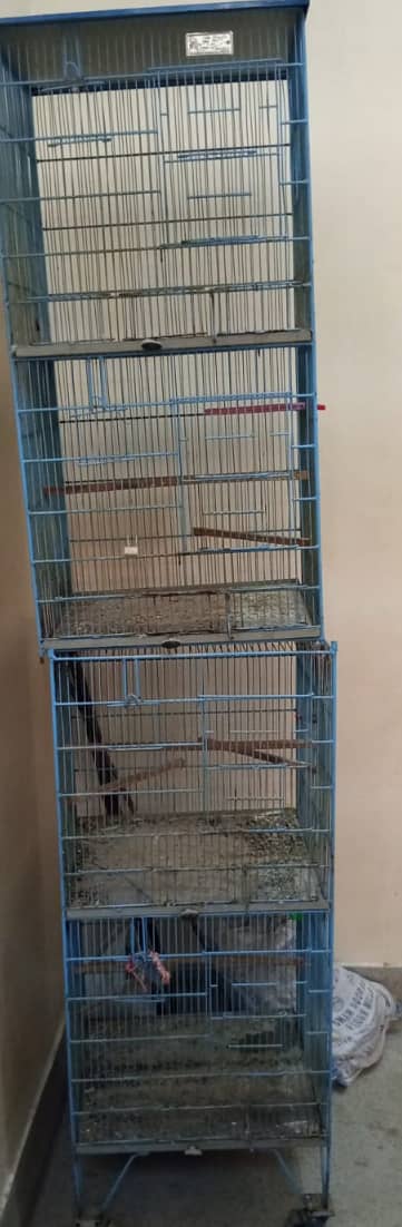 Bird cage 1