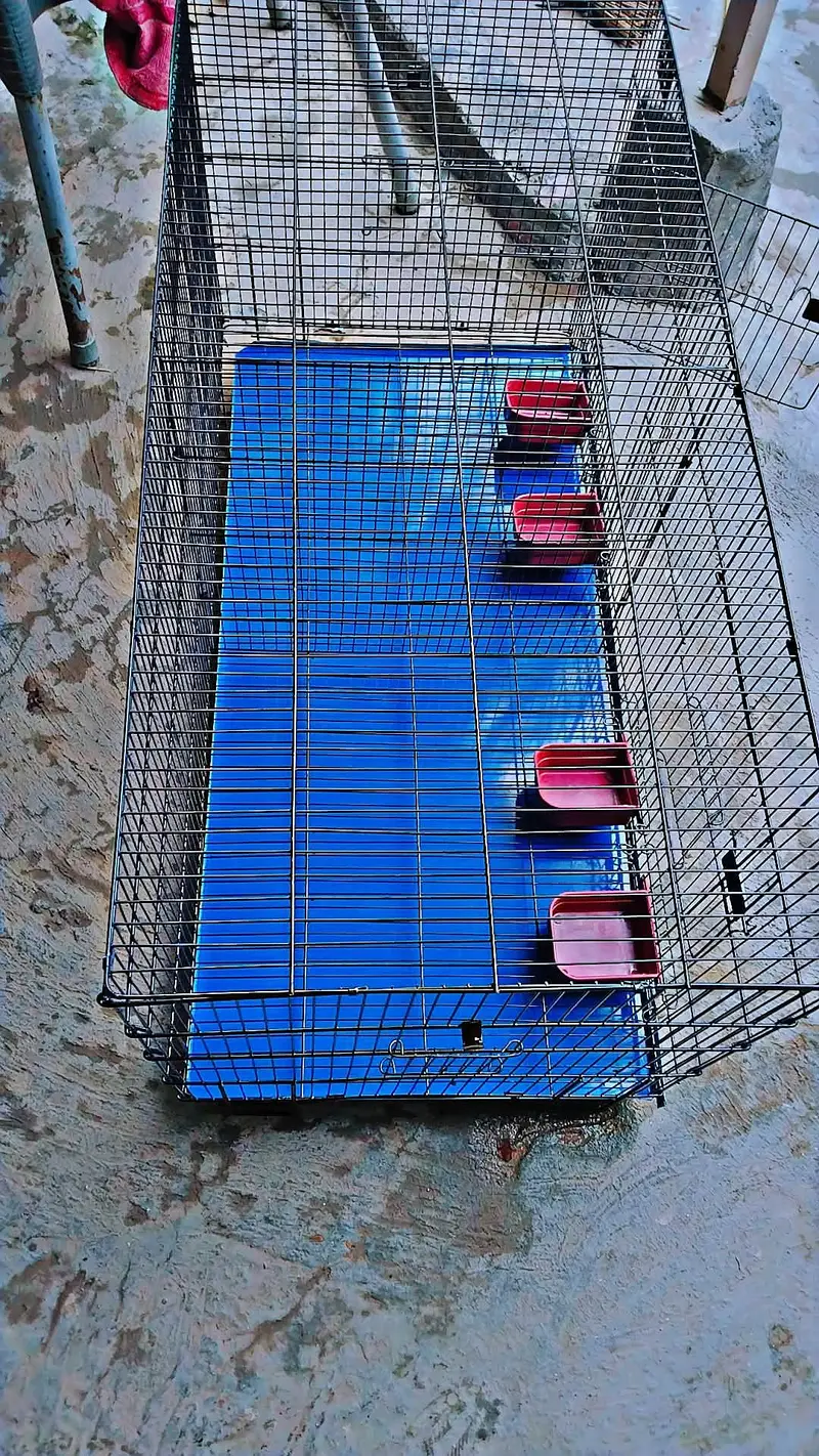 cage for sale — photo 4