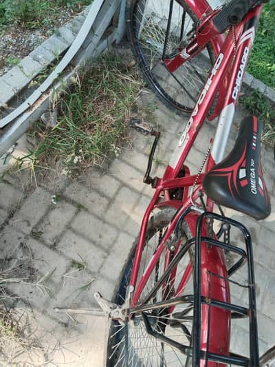 Chicago bicycle